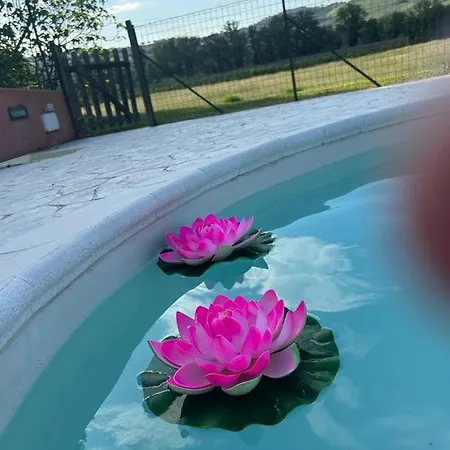 公寓 La Filanda Montalto delle Marche